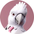 michi_zockt