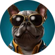 kai.net99